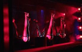 夜场秀在线观看,在线观看尽享视听盛宴  第3张