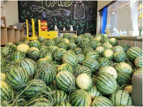 莱州今日吃瓜爆料视频 第3张 莱州今日吃瓜爆料视频 第3张